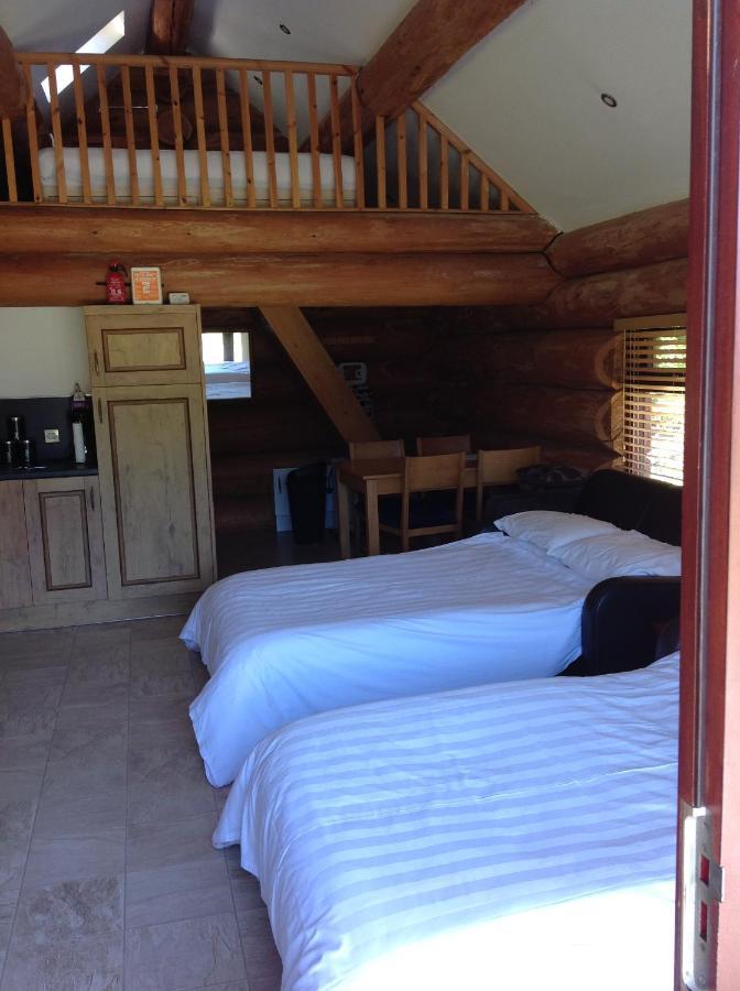 Lodge Lyne View, Log Carlisle (Cumbria)