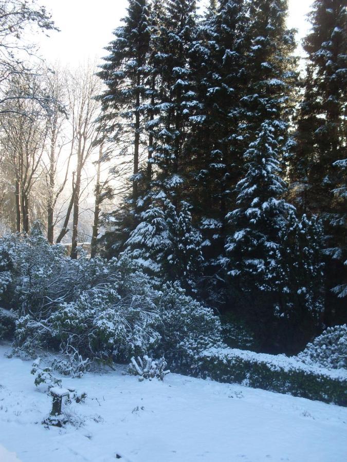 Lyne View, Log