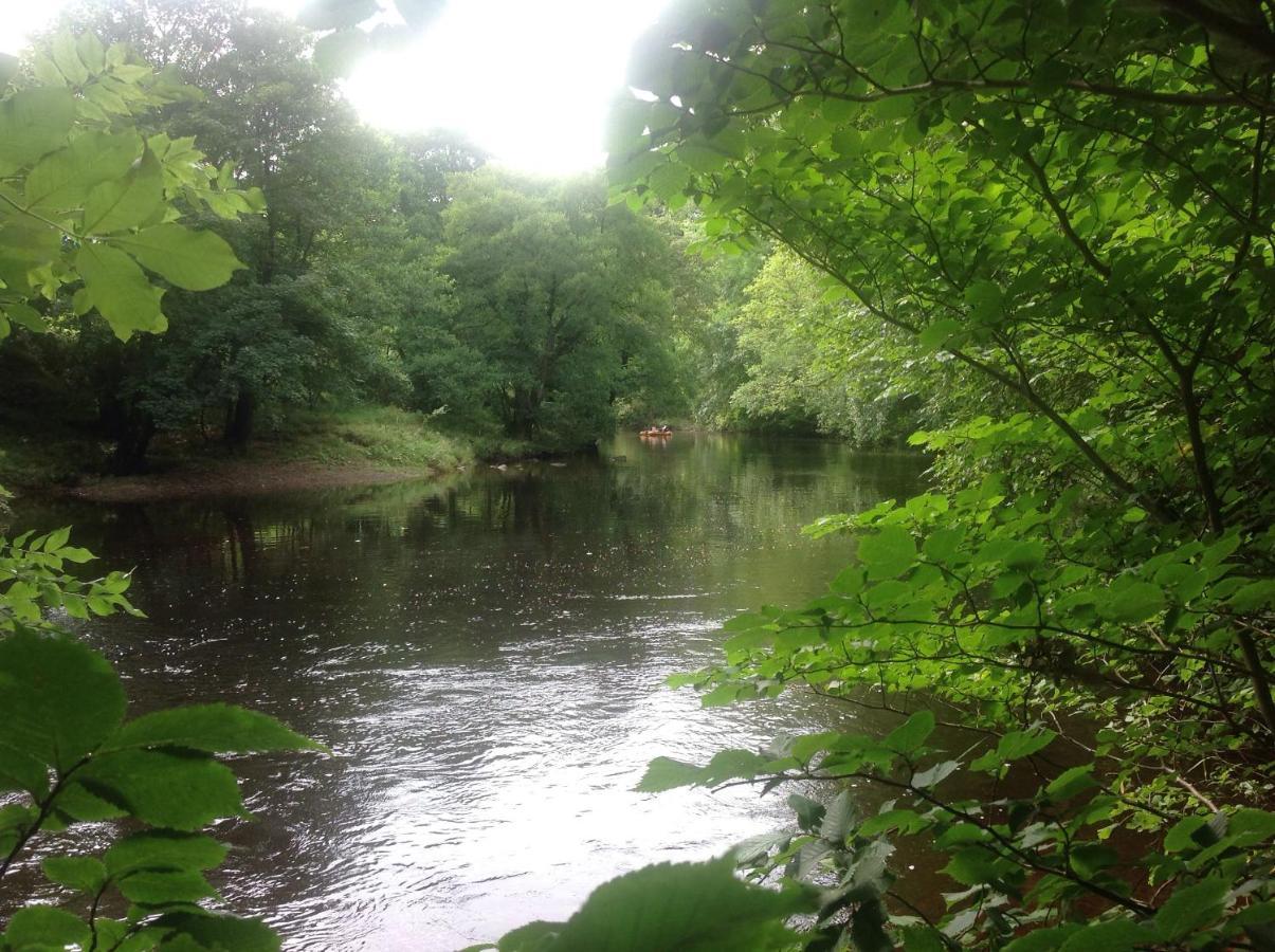 Lodge Lyne View, Log