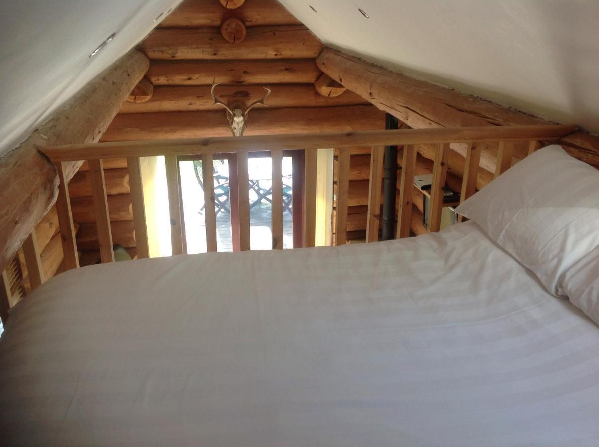 Lodge Lyne View, Log Carlisle (Cumbria)