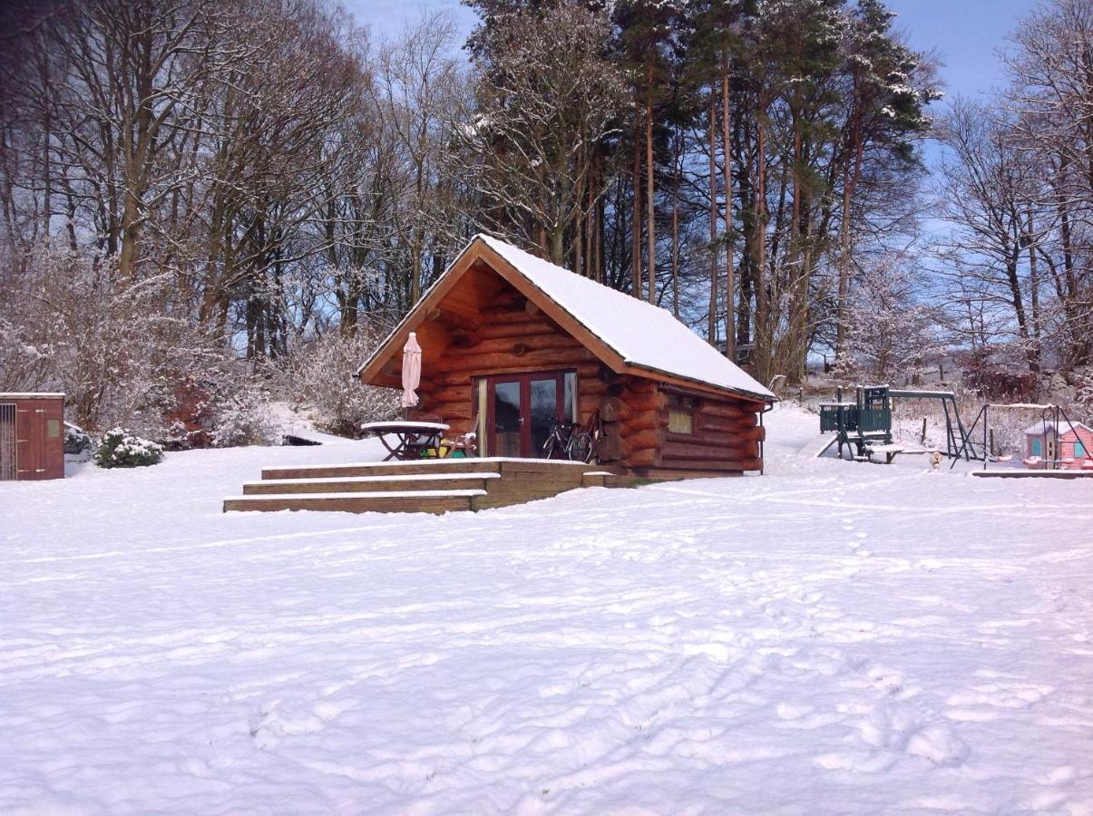 Lodge Lyne View, Log *