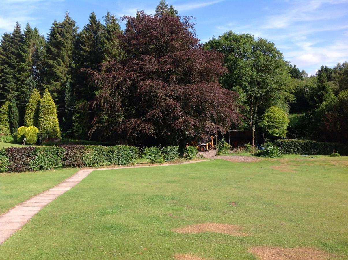 Lodge Lyne View, Log