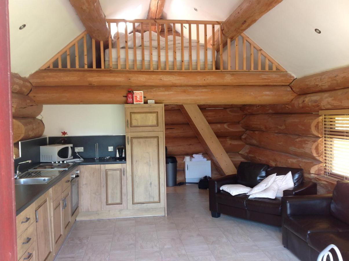 Lyne View, Log * Carlisle (Cumbria)